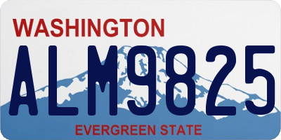 WA license plate ALM9825