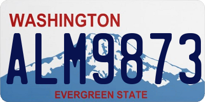 WA license plate ALM9873