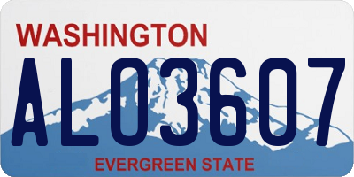 WA license plate ALO3607