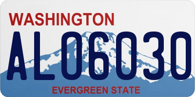 WA license plate ALO6030