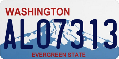 WA license plate ALO7313