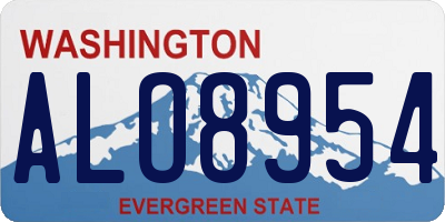 WA license plate ALO8954