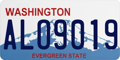 WA license plate ALO9019