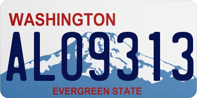 WA license plate ALO9313