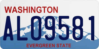 WA license plate ALO9581