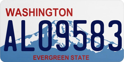 WA license plate ALO9583
