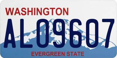 WA license plate ALO9607