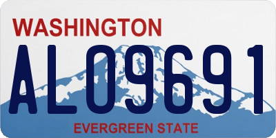 WA license plate ALO9691