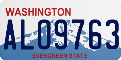 WA license plate ALO9763