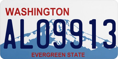 WA license plate ALO9913