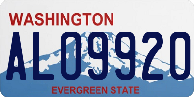 WA license plate ALO9920