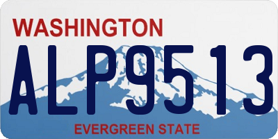WA license plate ALP9513