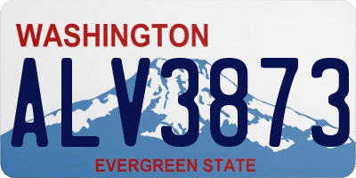 WA license plate ALV3873