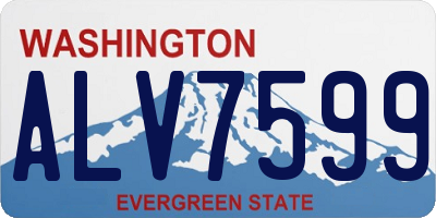 WA license plate ALV7599