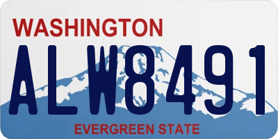 WA license plate ALW8491
