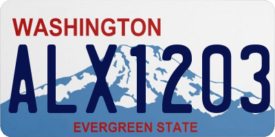 WA license plate ALX1203