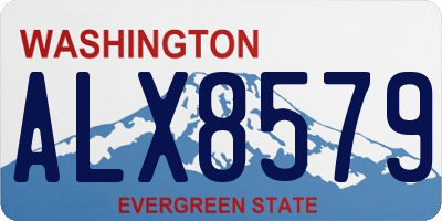 WA license plate ALX8579