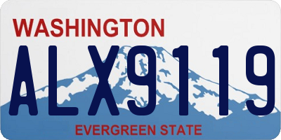 WA license plate ALX9119