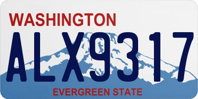 WA license plate ALX9317