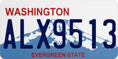 WA license plate ALX9513