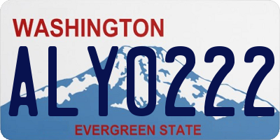 WA license plate ALY0222