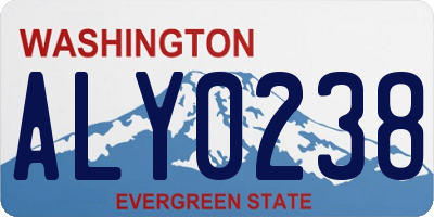 WA license plate ALY0238