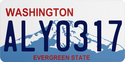 WA license plate ALY0317