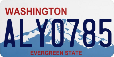 WA license plate ALY0785