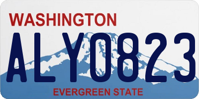 WA license plate ALY0823
