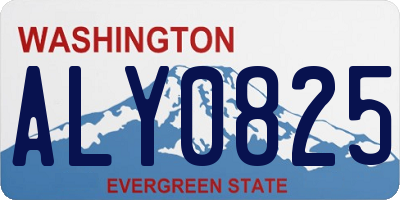 WA license plate ALY0825