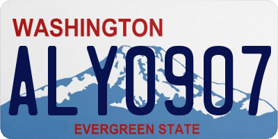 WA license plate ALY0907