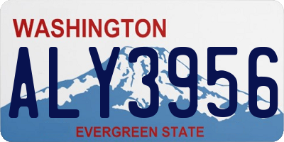 WA license plate ALY3956