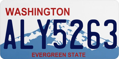WA license plate ALY5263