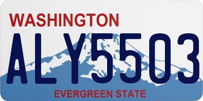 WA license plate ALY5503