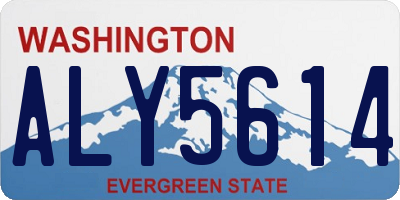 WA license plate ALY5614