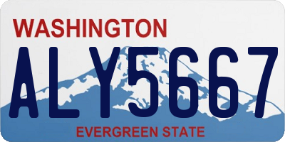 WA license plate ALY5667