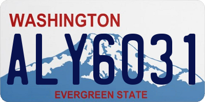 WA license plate ALY6031