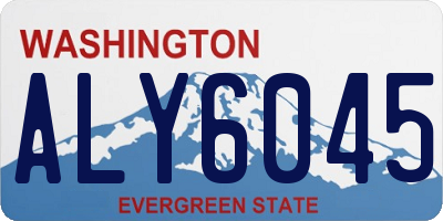 WA license plate ALY6045