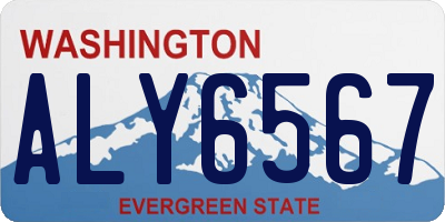 WA license plate ALY6567