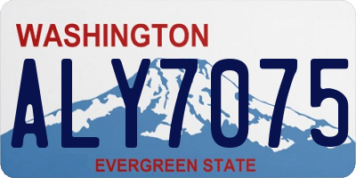 WA license plate ALY7075