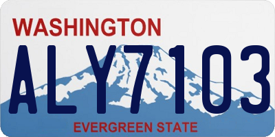 WA license plate ALY7103