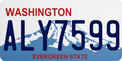 WA license plate ALY7599