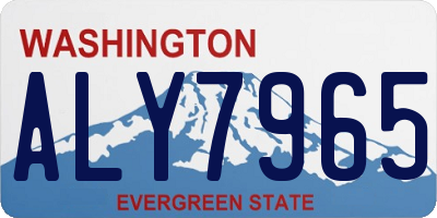 WA license plate ALY7965