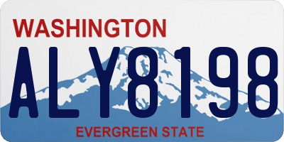WA license plate ALY8198
