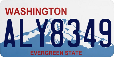 WA license plate ALY8349