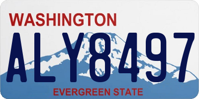 WA license plate ALY8497
