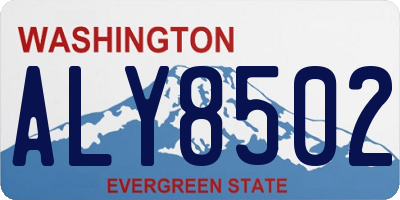 WA license plate ALY8502