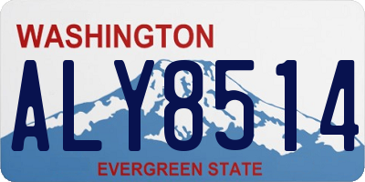 WA license plate ALY8514