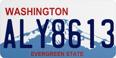 WA license plate ALY8613