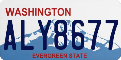 WA license plate ALY8677